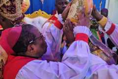 Bishop-Moses-Ordination-Images-IMG-20241119-WA0034-21