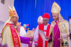 Bishop-Moses-Ordination-Images-IMG-20241119-WA0034-31